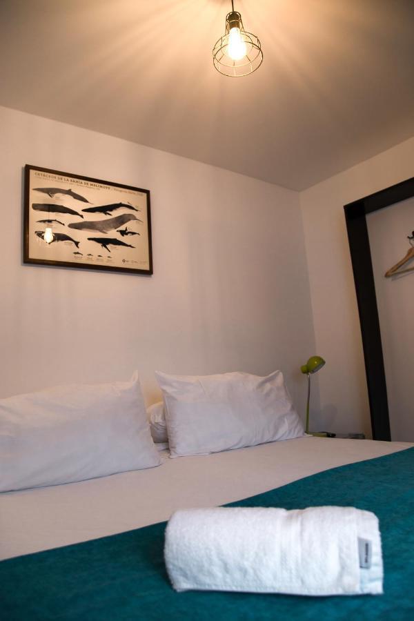 Hostal Boutique Terra Antarctica Punta Arenas Ngoại thất bức ảnh