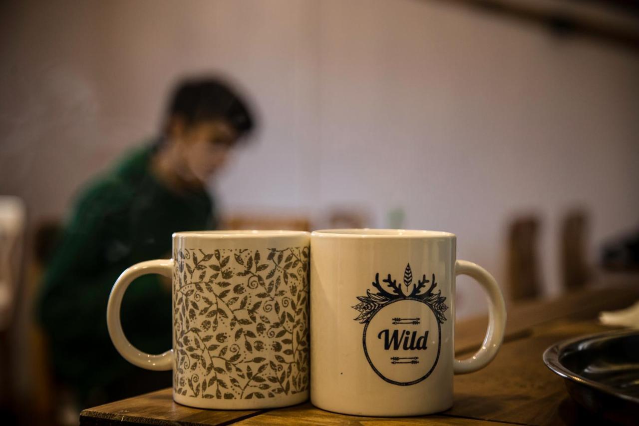 Hostal Boutique Terra Antarctica Punta Arenas Ngoại thất bức ảnh