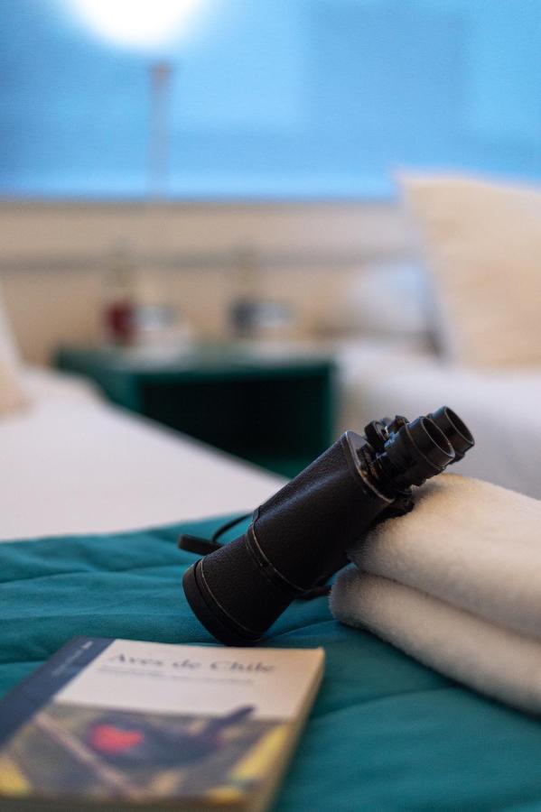 Hostal Boutique Terra Antarctica Punta Arenas Ngoại thất bức ảnh